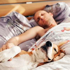 Sweet dreams are not the only benefit of good sleep!