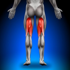 Tight hamstrings – the chicken, the egg or the ham?